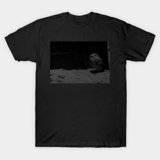 Halloween Owl in the Dark T-Shirt